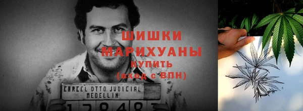 ПСИЛОЦИБИНОВЫЕ ГРИБЫ Арсеньев