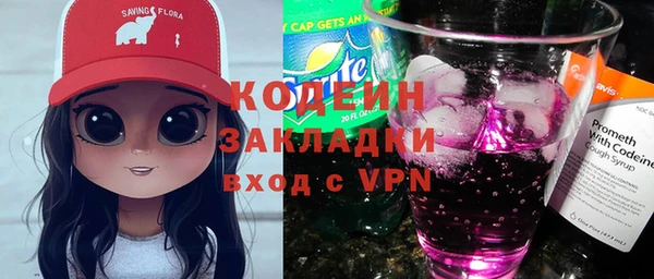 ПСИЛОЦИБИНОВЫЕ ГРИБЫ Арсеньев