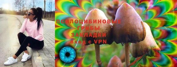 ПСИЛОЦИБИНОВЫЕ ГРИБЫ Арсеньев