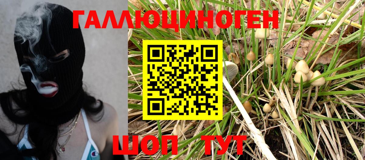 Сосновый Бор  Галлюциногенные грибы Magic Shrooms  Вход с VPN 